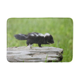 Cutest Baby Animals   Baby Skunk Bath Mat