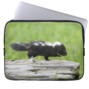 Cutest Baby Animals   Baby Skunk Laptop Sleeve