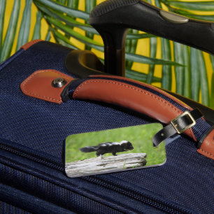 Cutest Baby Animals   Baby Skunk Luggage Tag