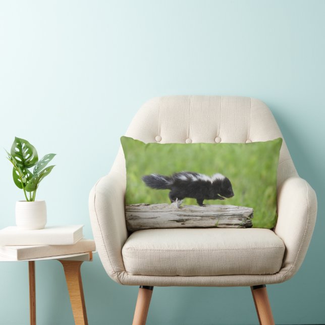 Cutest Baby Animals | Baby Skunk Lumbar Cushion (Chair)