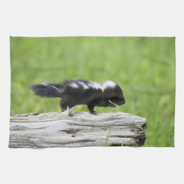 Cutest Baby Animals | Baby Skunk Tea Towel (Horizontal)