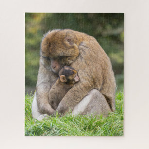 Cutest Baby Animals   Barbary Macaque Family Jigsaw Puzzle