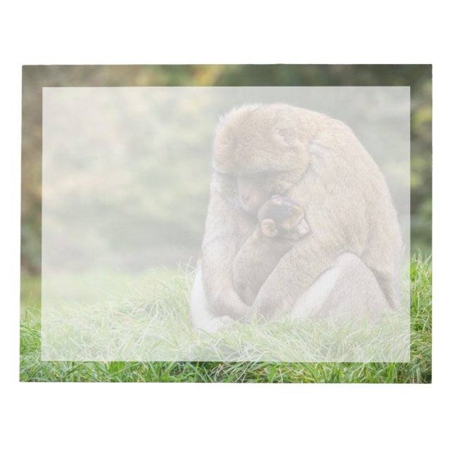 Cutest Baby Animals | Barbary Macaque Family Notepad (Front)