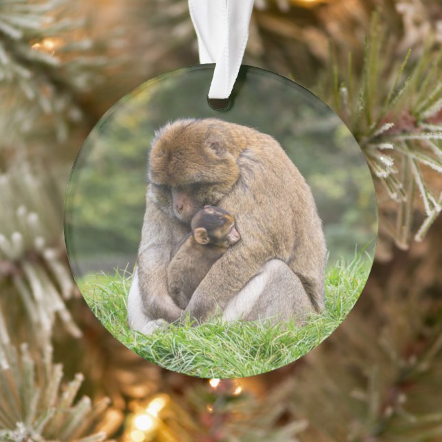 Cutest Baby Animals | Barbary Macaque Family Ornament (Tree)