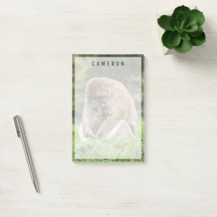 Cutest Baby Animals Barbary Macaque Family Post-it Notes