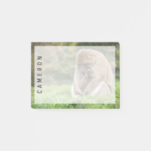 Cutest Baby Animals Barbary Macaque Family Post-it Notes