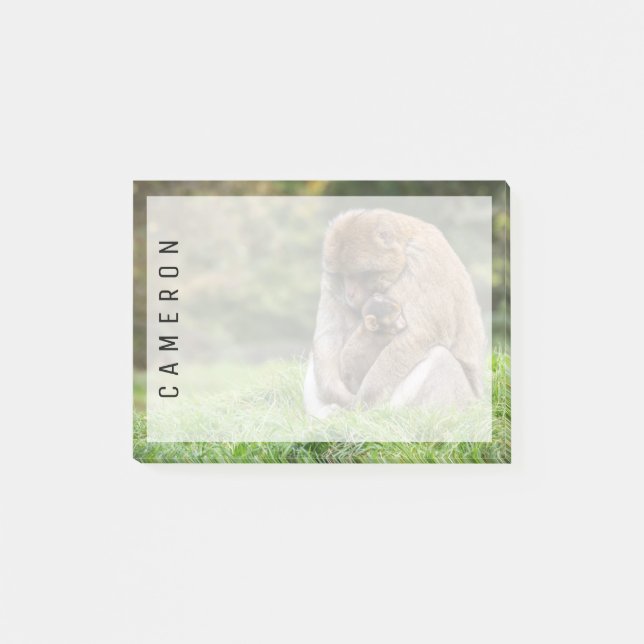 Cutest Baby Animals | Barbary Macaque Family Post-it Notes (Front)