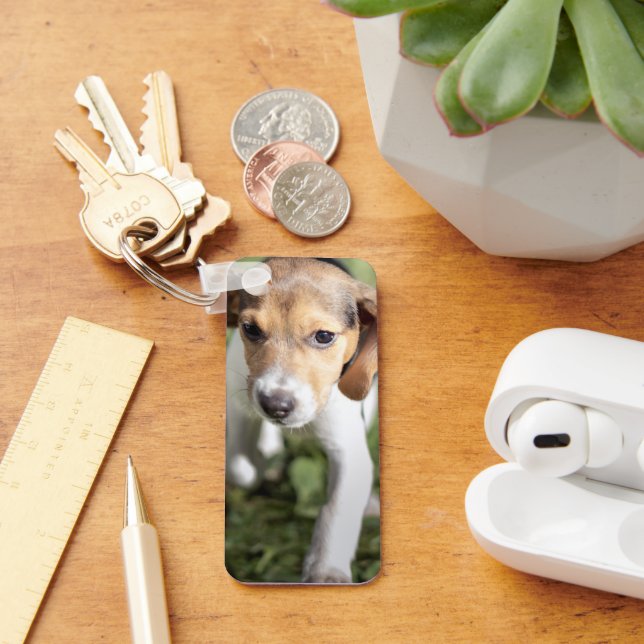 Cutest Baby Animals | Beagle Puppy Key Ring (Desk)