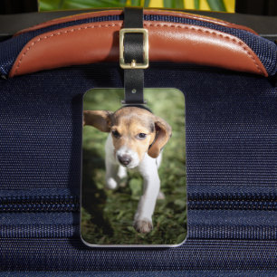 Cutest Baby Animals Beagle Puppy Luggage Tag