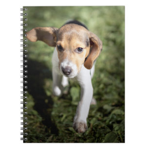 Cutest Baby Animals   Beagle Puppy Notebook