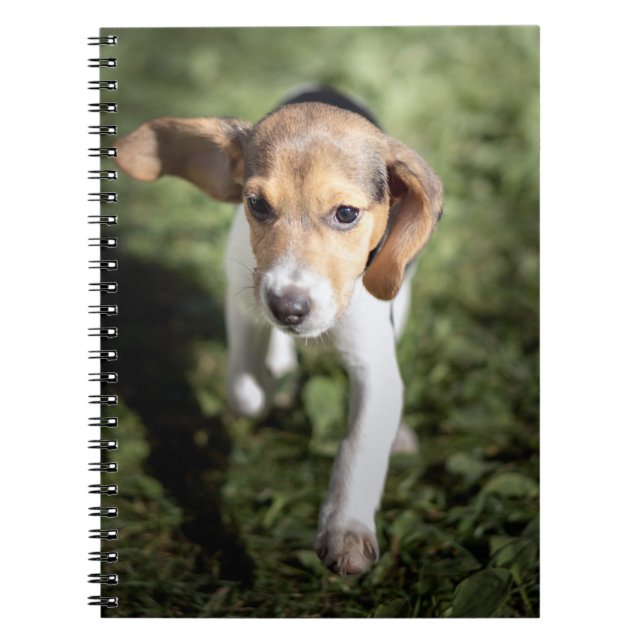 Cutest Baby Animals | Beagle Puppy Notebook (Front)