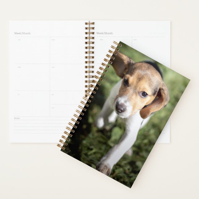 Cutest Baby Animals | Beagle Puppy Planner (Display)
