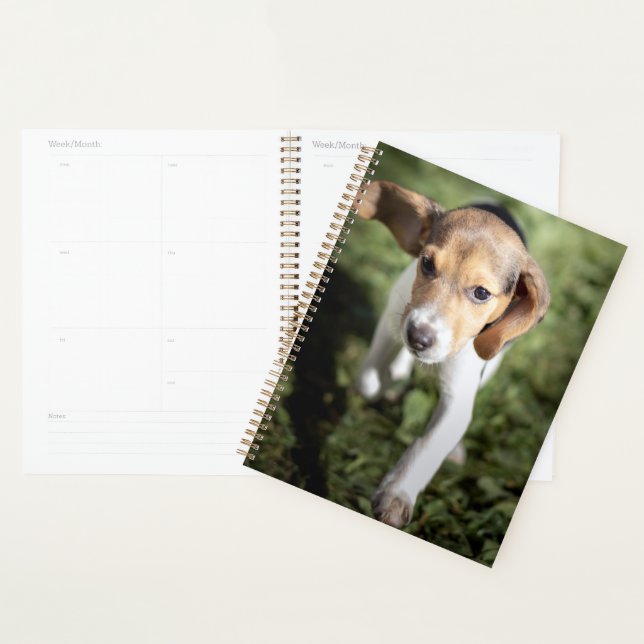 Cutest Baby Animals | Beagle Puppy Planner (Display)