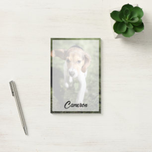 Cutest Baby Animals   Beagle Puppy Post-it Notes