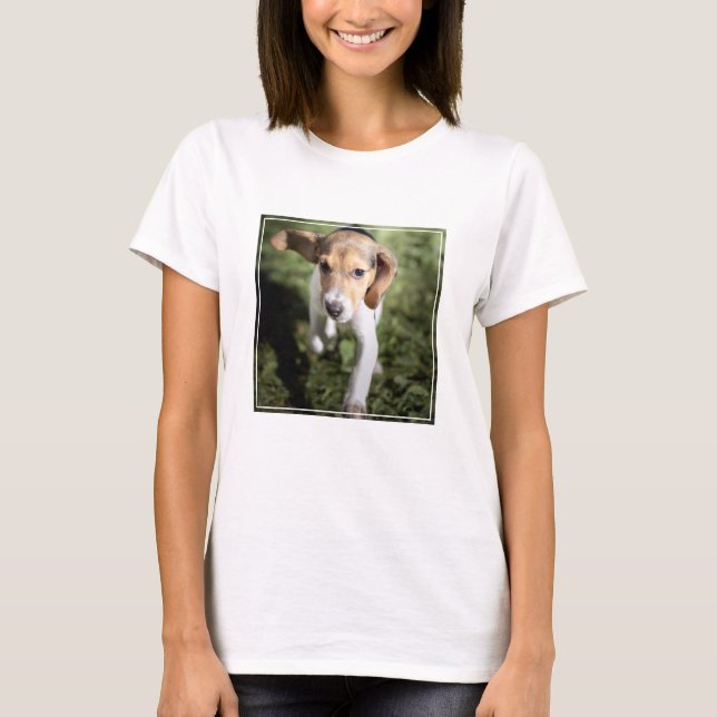 Cutest Baby Animals | Beagle Puppy T-Shirt (Front)