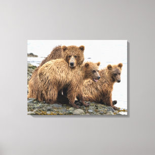 Cutest Baby Animals Bear & Cubs Canvas Print