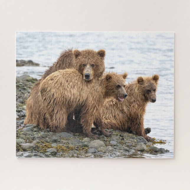 Cutest Baby Animals | Bear & Cubs Jigsaw Puzzle (Horizontal)