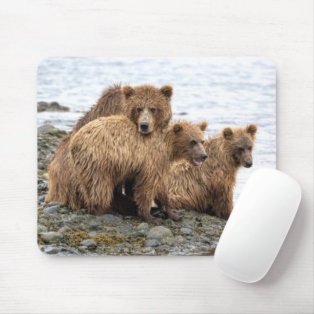 Cutest Baby Animals | Bear & Cubs Mouse Mat (With Mouse)
