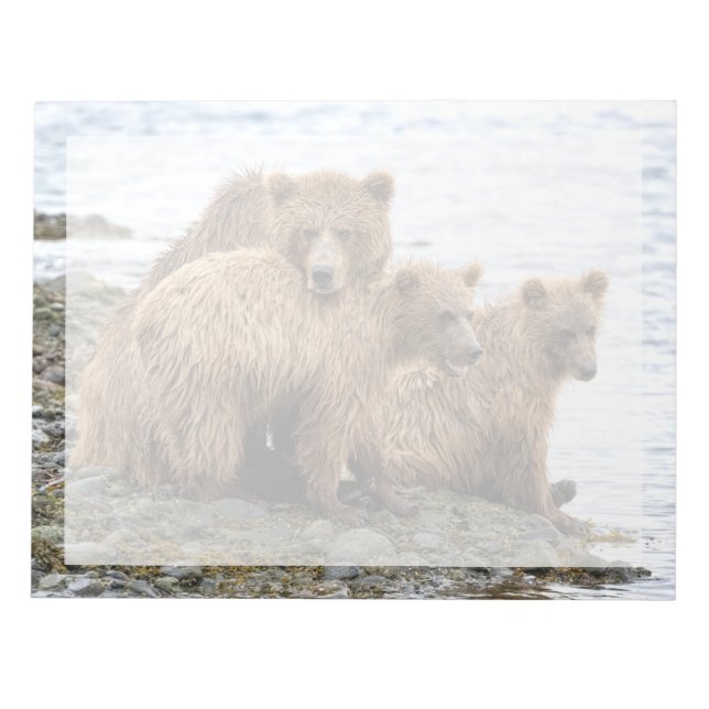 Cutest Baby Animals | Bear & Cubs Notepad (Front)