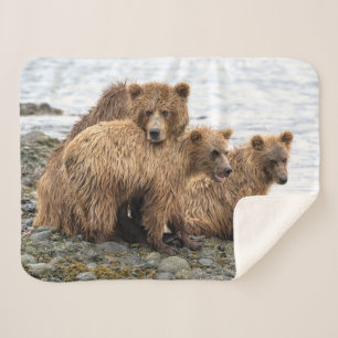 Cutest Baby Animals Bear & Cubs Sherpa Blanket