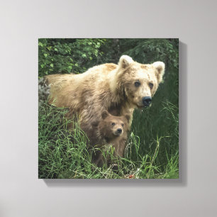 Cutest Baby Animals Bear Mama Bear & Her Cubs Canvas Print