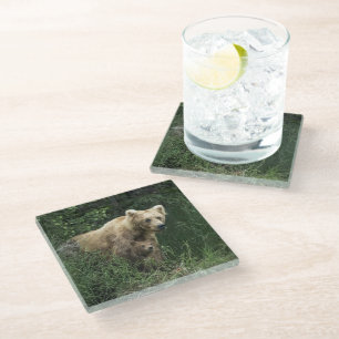Cutest Baby Animals Bear Mama Bear & Her Cubs Glass Coaster