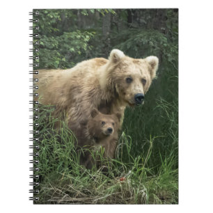 Cutest Baby Animals   Bear Mama Bear & Her Cubs Notebook