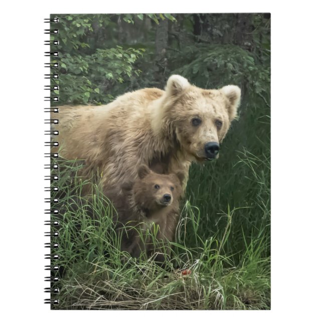 Cutest Baby Animals | Bear Mama Bear & Her Cubs Notebook (Front)