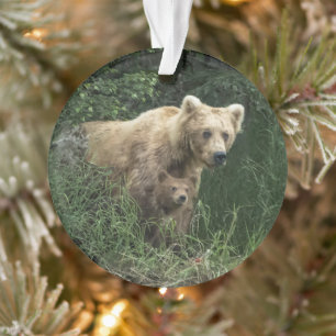 Cutest Baby Animals   Bear Mama Bear & Her Cubs Ornament