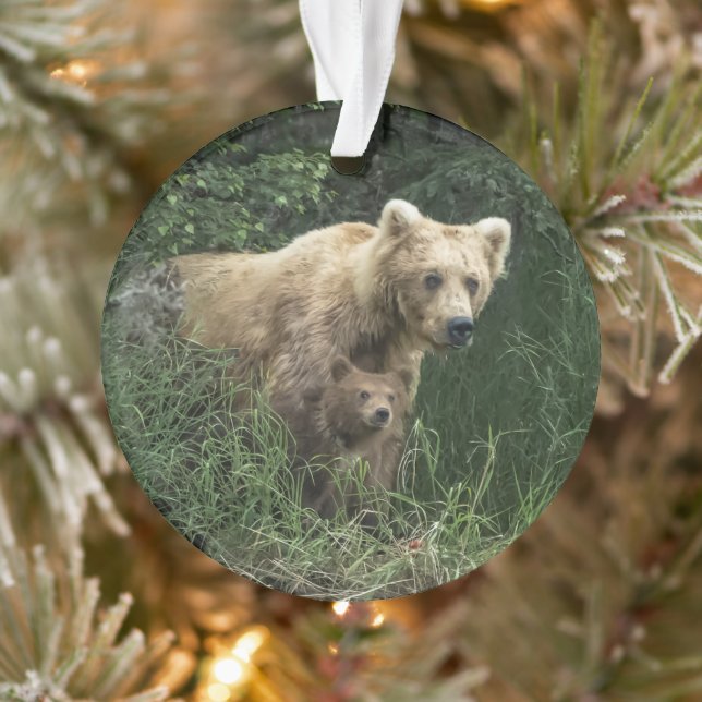 Cutest Baby Animals | Bear Mama Bear & Her Cubs Ornament (Tree)