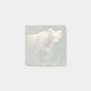 Cutest Baby Animals   Bear Mama Bear & Her Cubs Post-it Notes