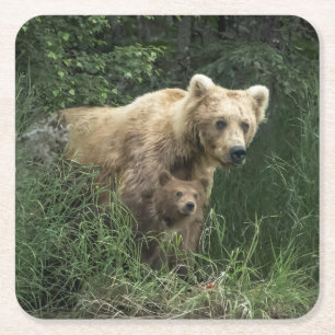 Cutest Baby Animals Bear Mama Bear & Her Cubs Square Paper Coaster