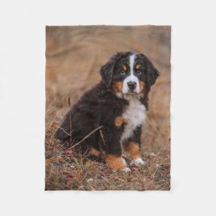 Cutest Baby Animals   Bernese Mountain Dog Fleece Blanket