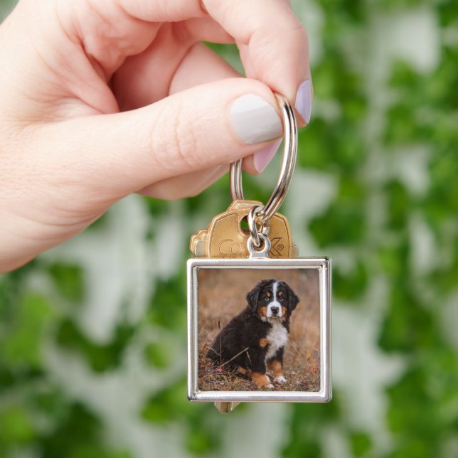 Cutest Baby Animals | Bernese Mountain Dog Key Ring (Hand)