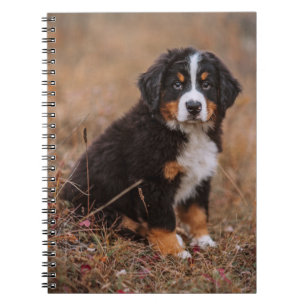 Cutest Baby Animals   Bernese Mountain Dog Notebook