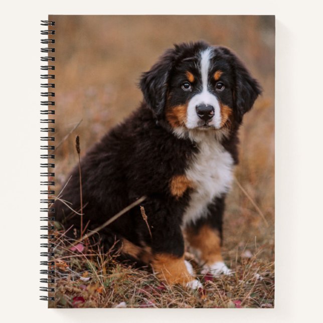 Cutest Baby Animals | Bernese Mountain Dog Notebook (Front)