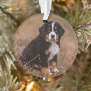 Cutest Baby Animals Bernese Mountain Dog Ornament