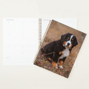 Cutest Baby Animals   Bernese Mountain Dog Planner
