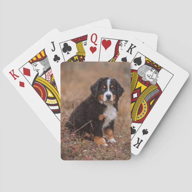 Cutest Baby Animals | Bernese Mountain Dog Playing Cards (Back)