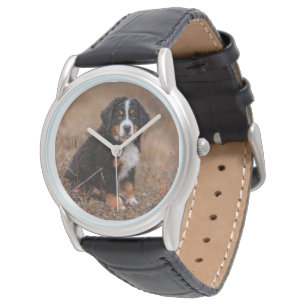Cutest Baby Animals   Bernese Mountain Dog Watch