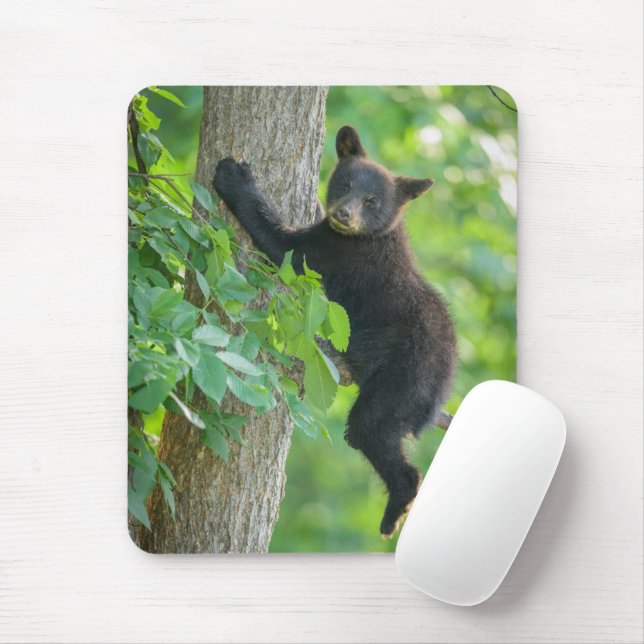 Cutest Baby Animals | Black Bear Cub Mouse Mat (With Mouse)