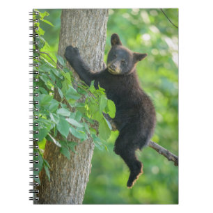 Cutest Baby Animals Black Bear Cub Notebook