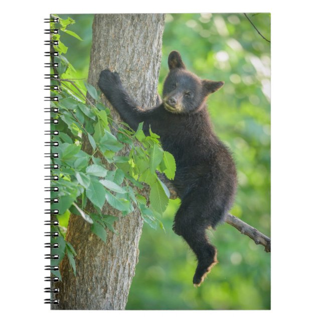 Cutest Baby Animals | Black Bear Cub Notebook (Front)