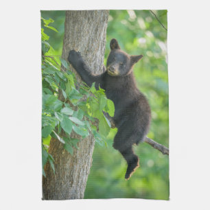 Cutest Baby Animals   Black Bear Cub Tea Towel