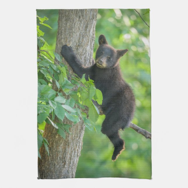 Cutest Baby Animals | Black Bear Cub Tea Towel (Vertical)