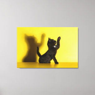 Cutest Baby Animals   Black Cat Playing Canvas Print