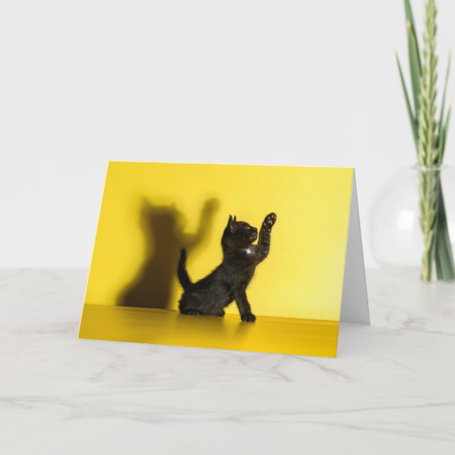 Cutest Baby Animals | Black Cat Playing Card (Front)