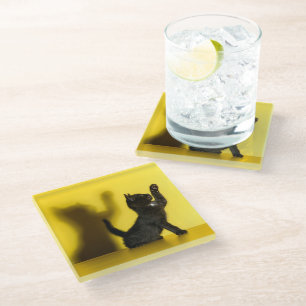 Cutest Baby Animals Black Cat Playing Glass Coaster