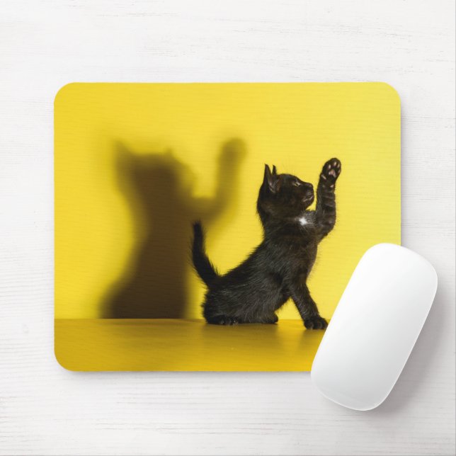 Cutest Baby Animals | Black Cat Playing Mouse Mat (With Mouse)