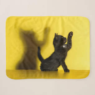 Cutest Baby Animals Black Cat Playing Sherpa Blanket